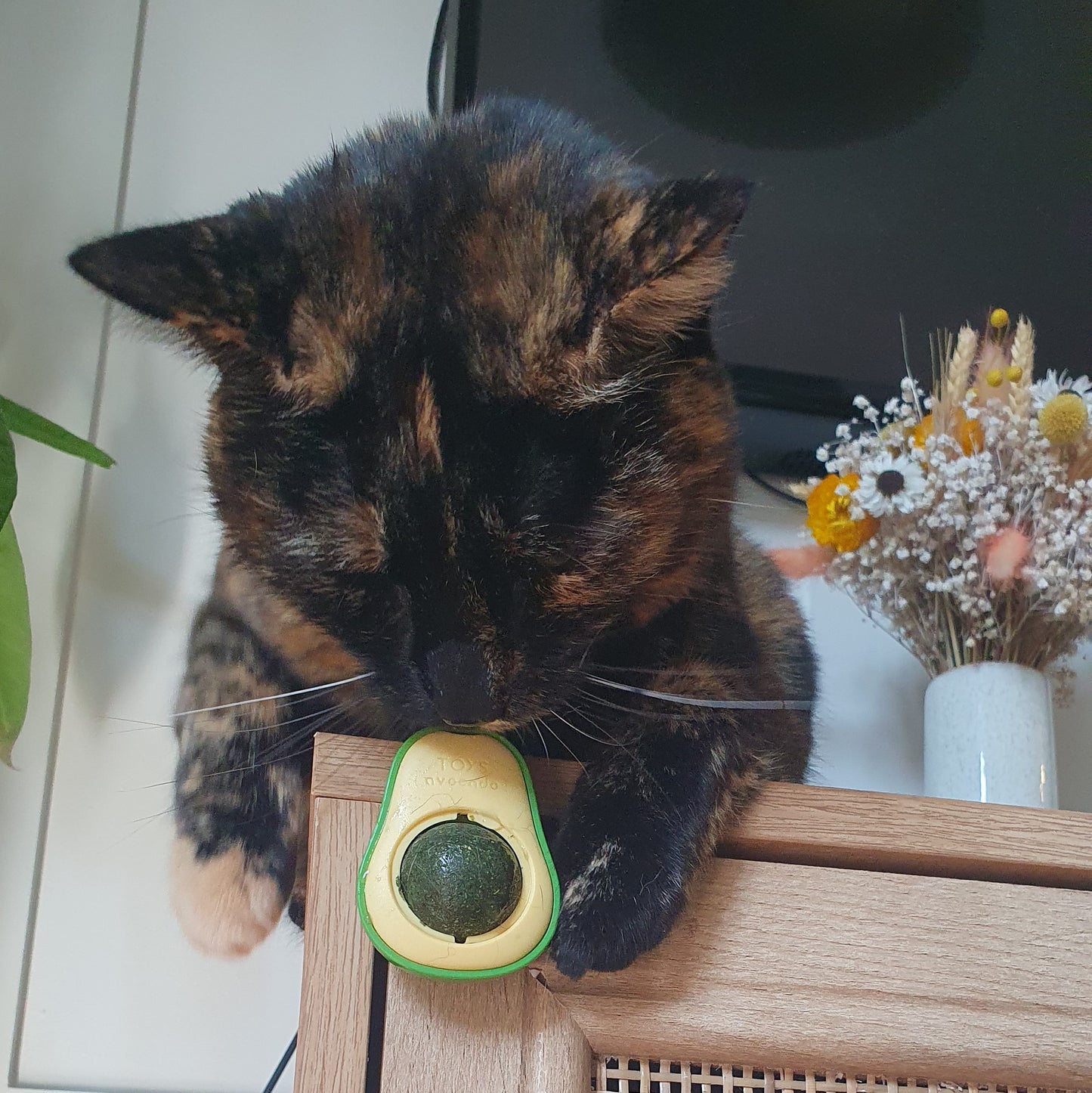 Avocado Cat Lick with Rotating Cat Mint Ball