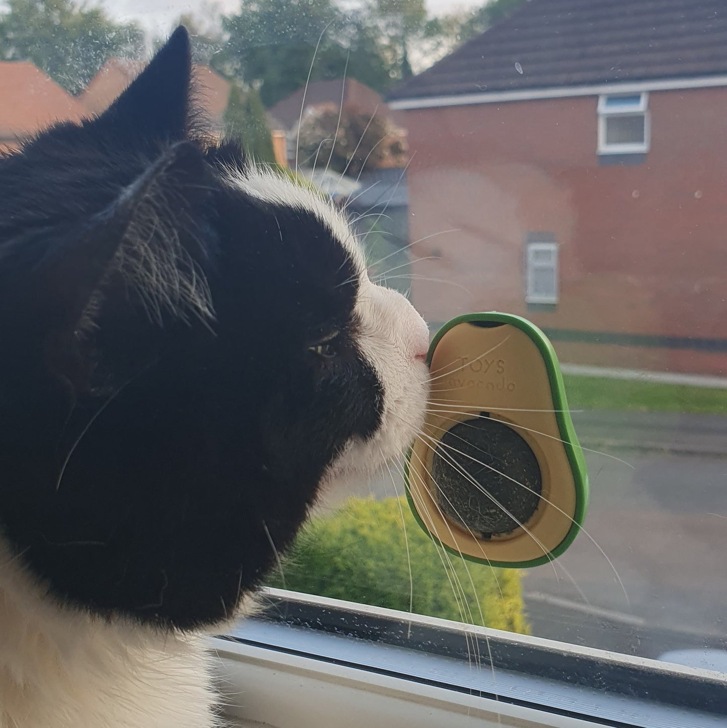 Avocado Cat Lick with Rotating Cat Mint Ball