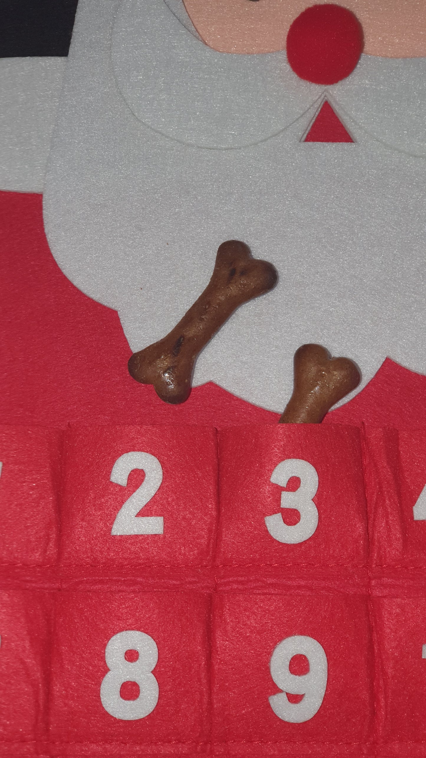 Dog and Cat Reusable Refillable Advent Calendar Santa