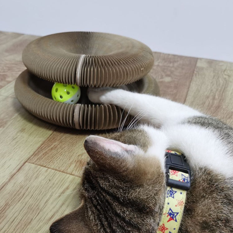 Magic Organ Doughnut Cat Scratcher