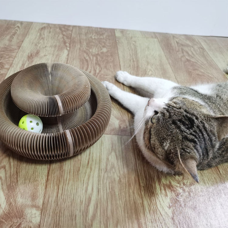 Magic Organ Doughnut Cat Scratcher